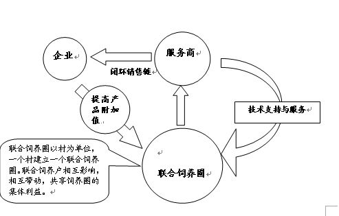 “油多多”饲料新品上市推广方案 以“喂猪加油”引爆市场奇迹